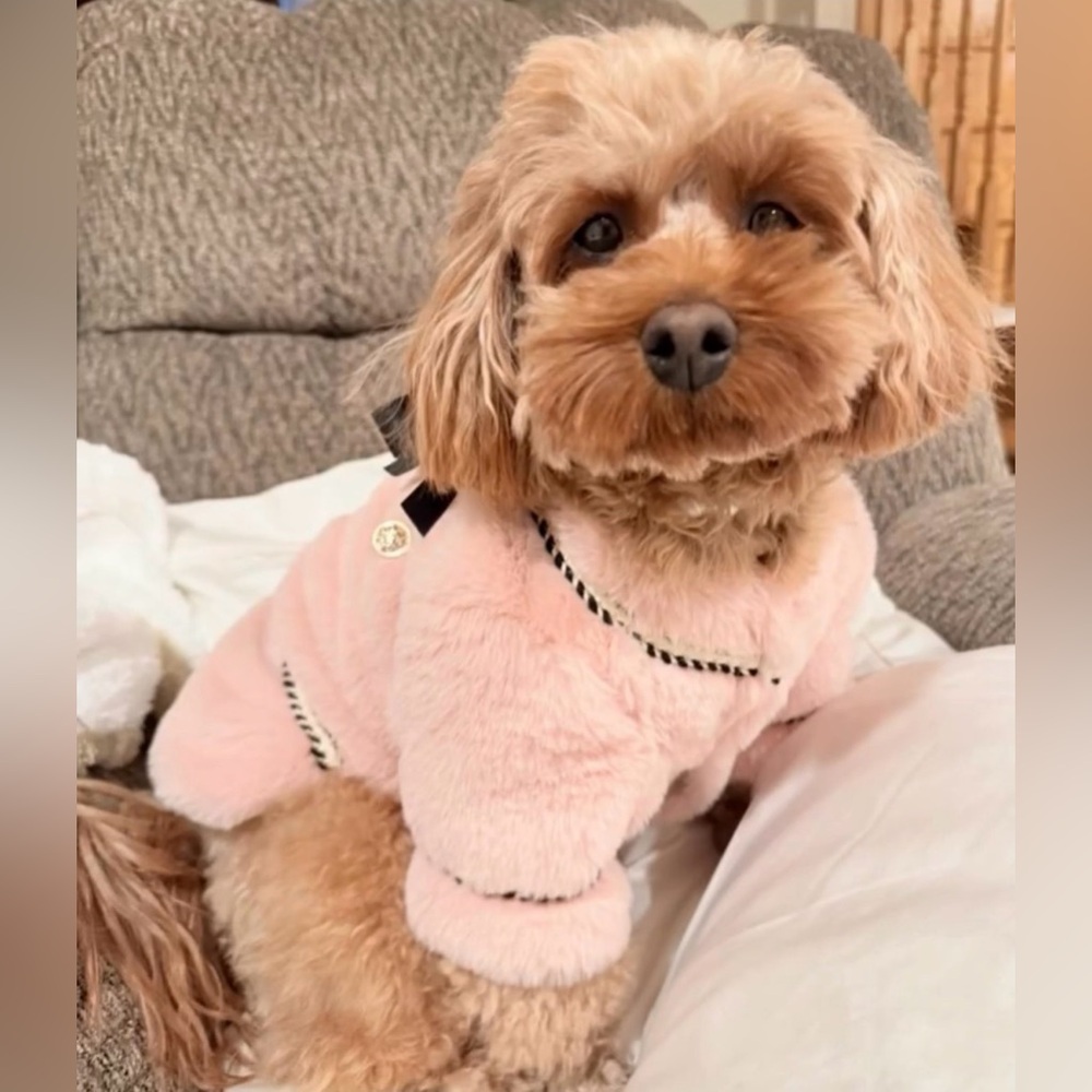 Stylist dog coat 🌸